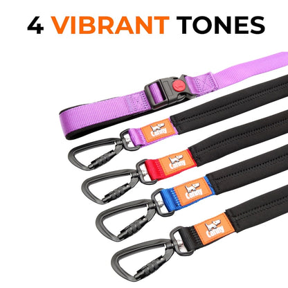 Lockable Leash