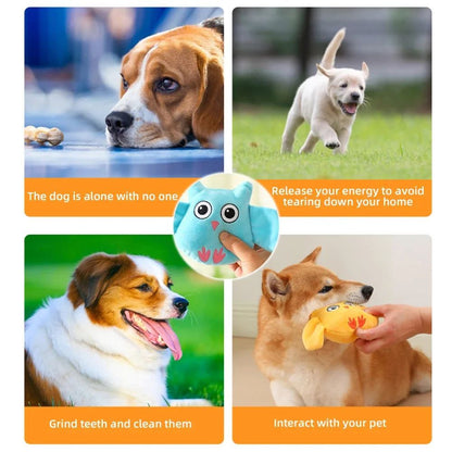 Squeaky Toys