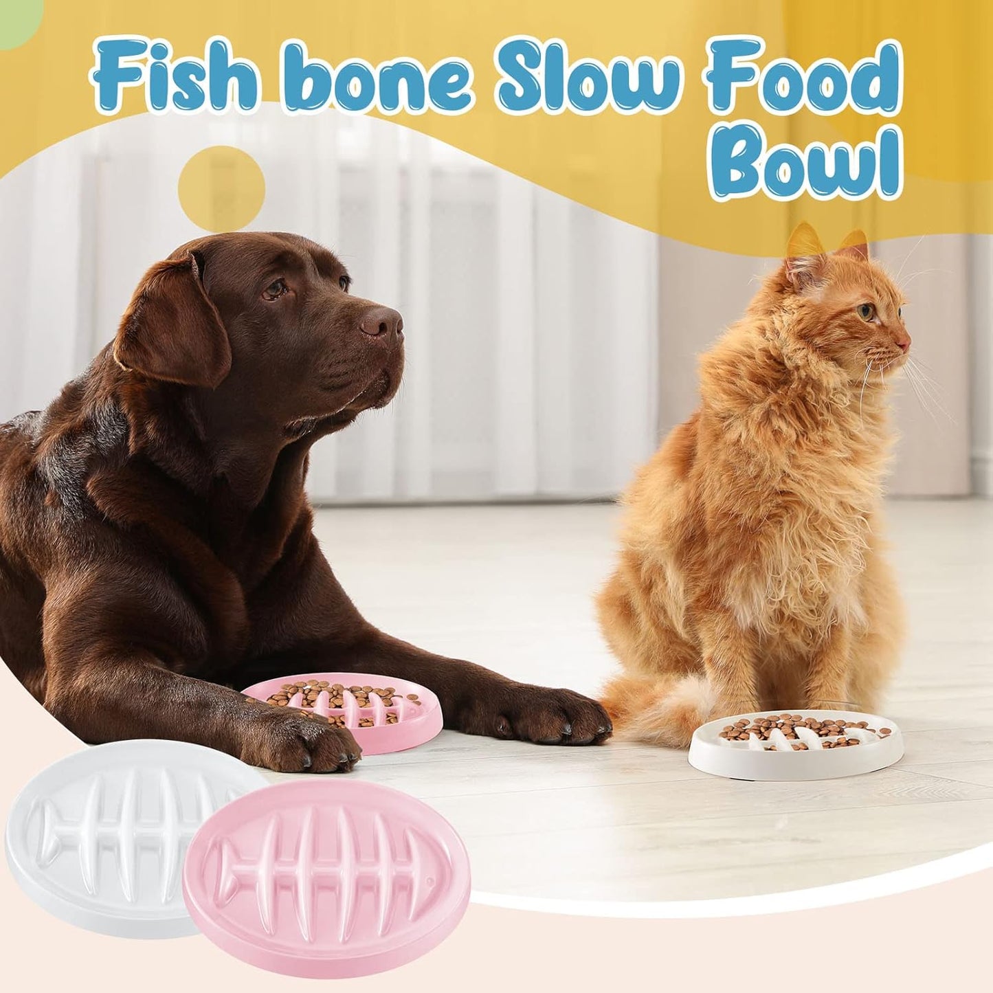 Feeder & Waterer