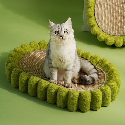Cat Scratcher