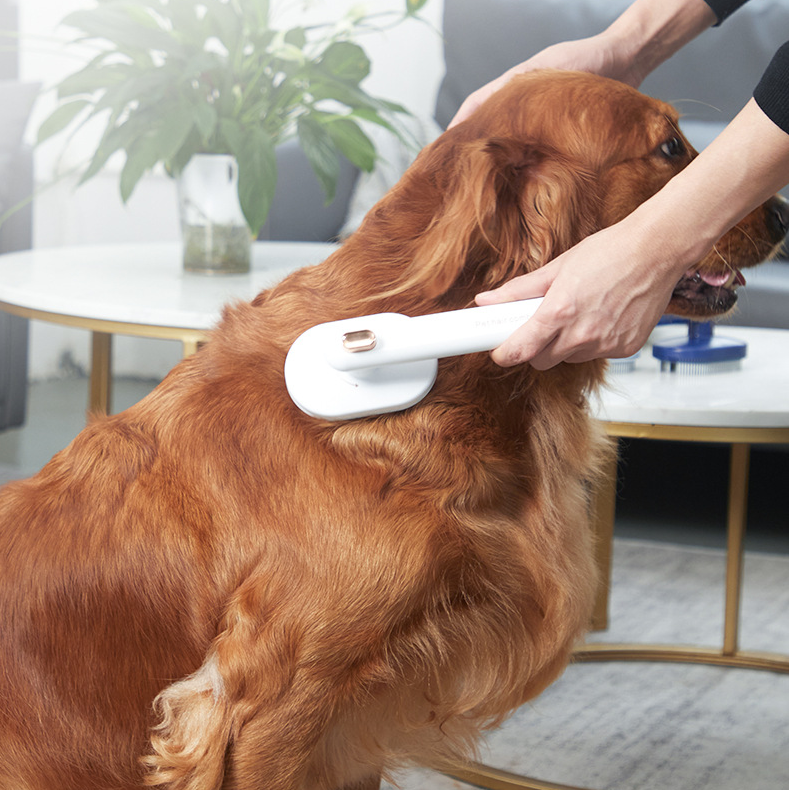 Pet Comb