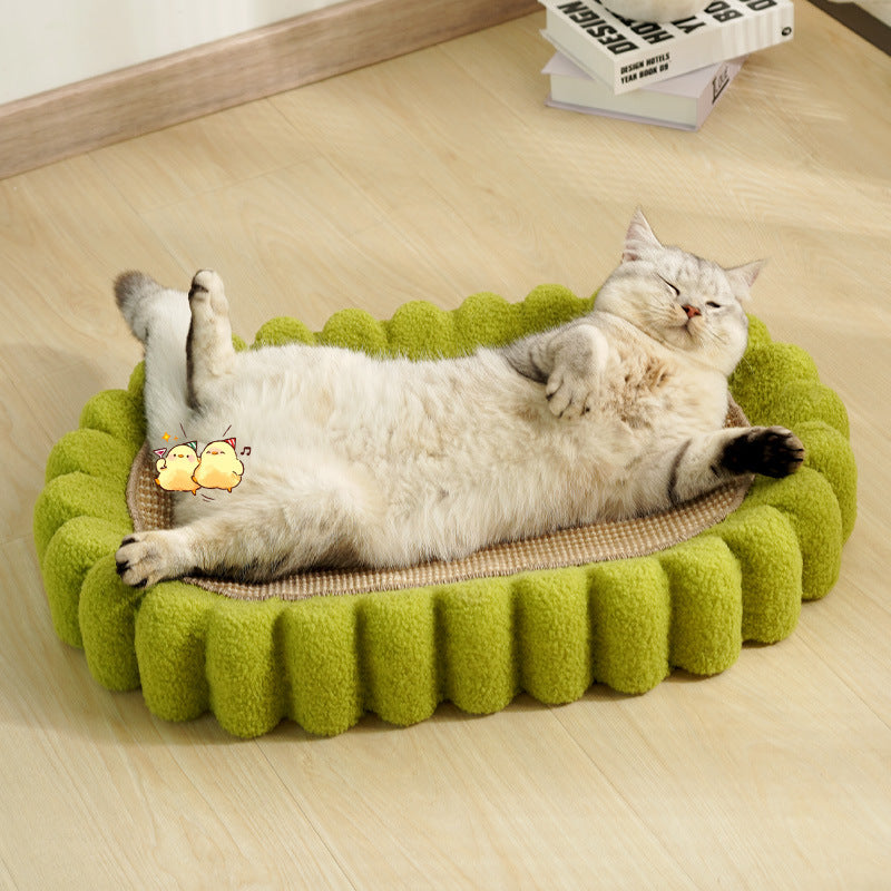 Cat Scratcher