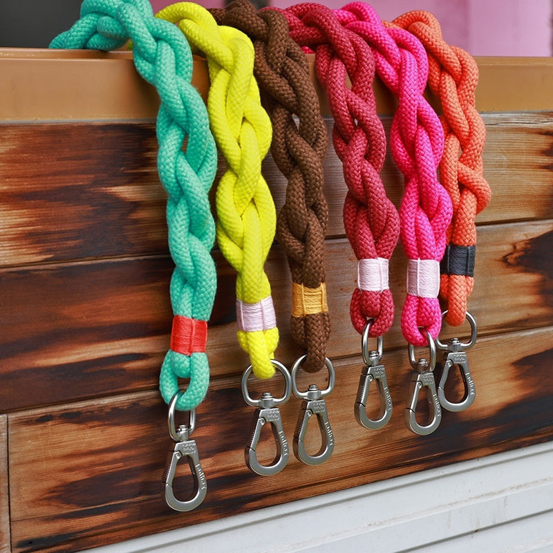 Leashes, Collars & harnesses