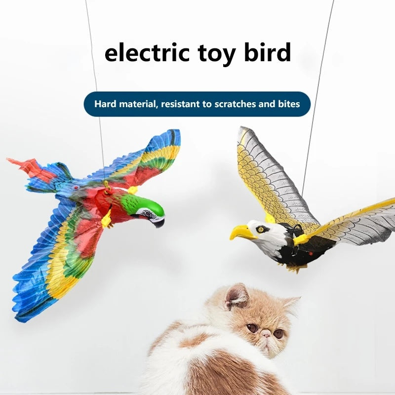 Cat Toys