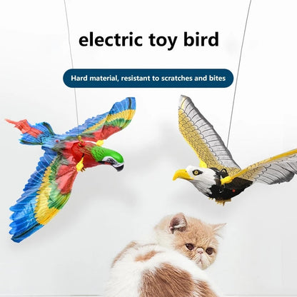 Cat Toys