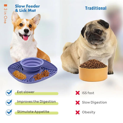 Feeder & Waterer