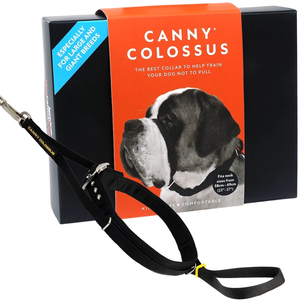 Pet Collars & Harnesses