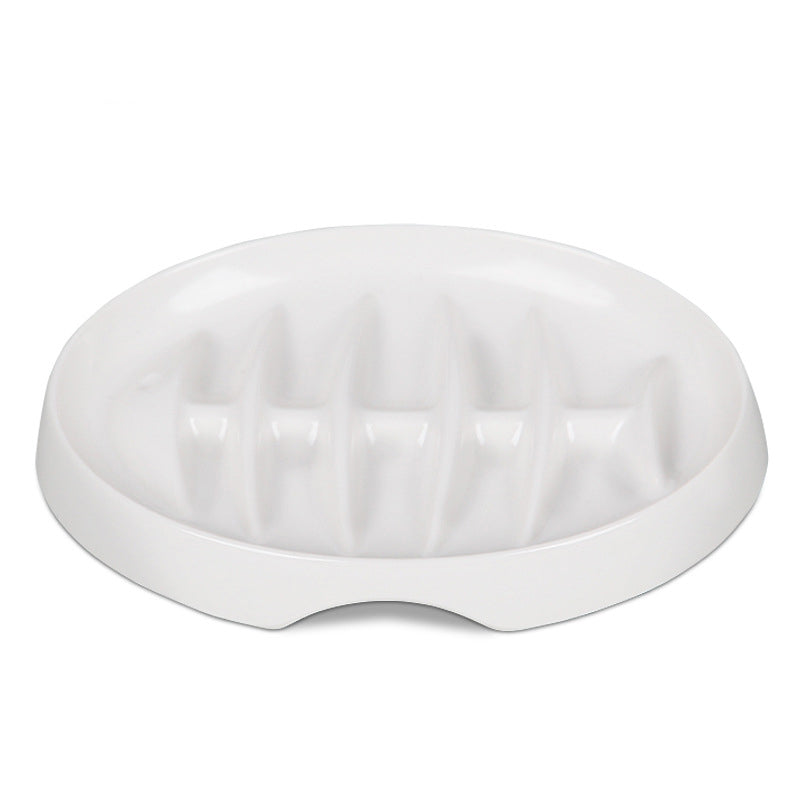 Feeder & Waterer