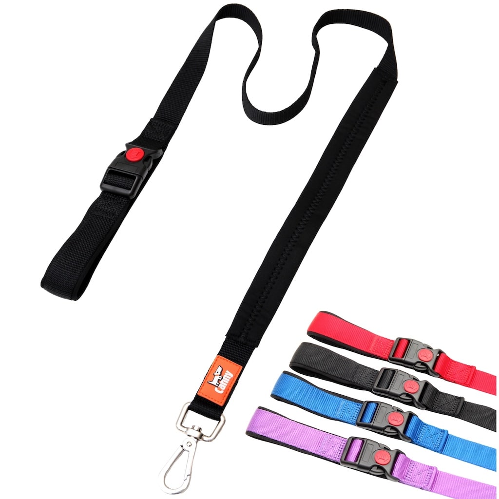 Lockable Leash
