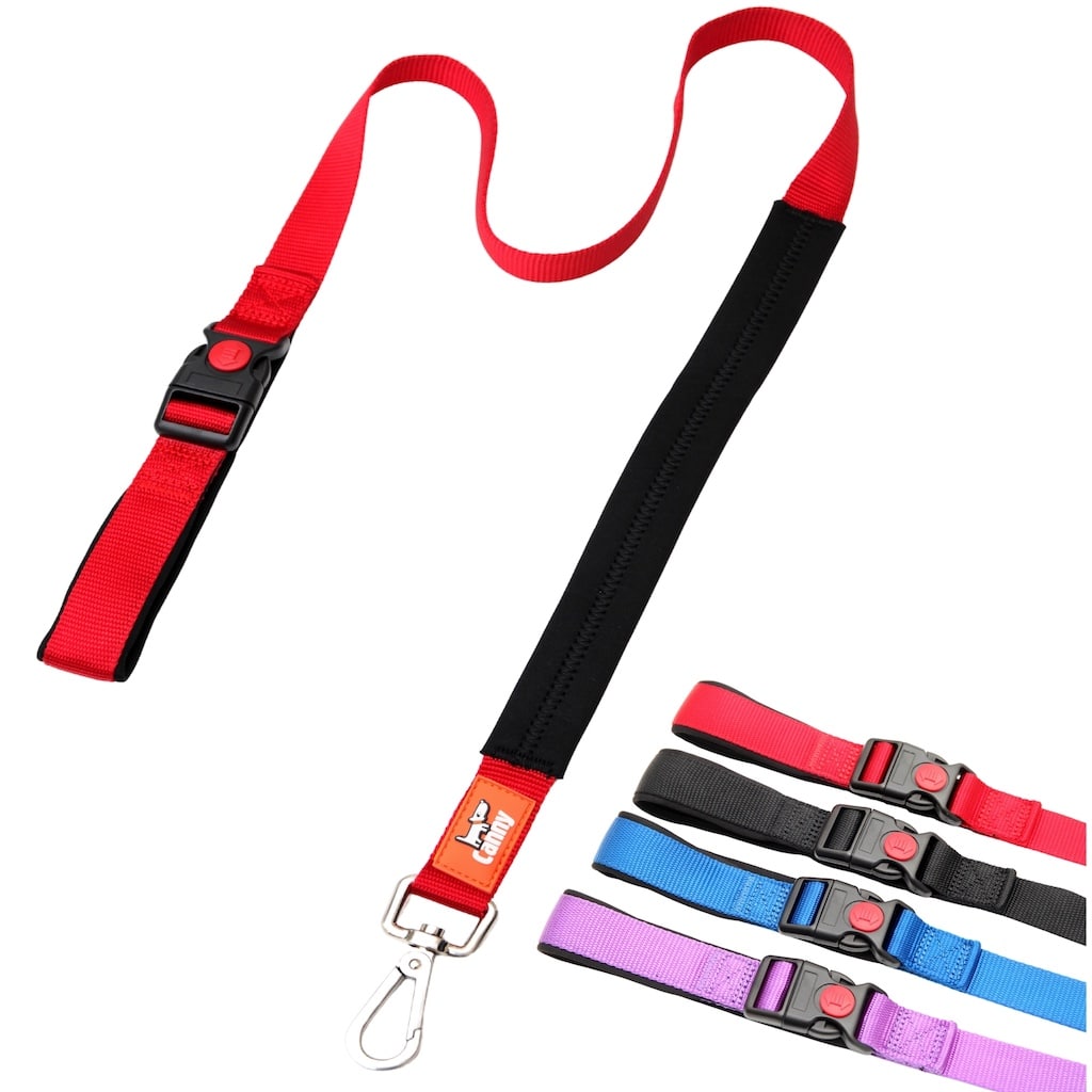 Lockable Leash