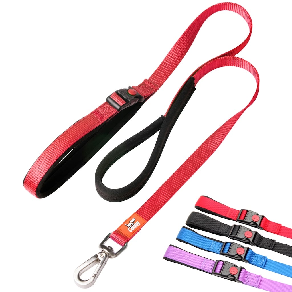 Lockable Leash