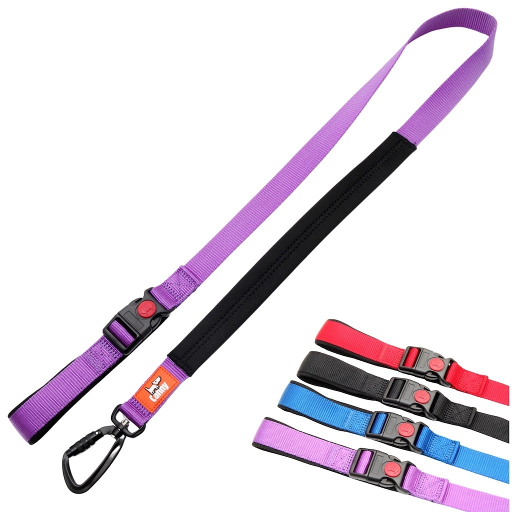 Lockable Leash