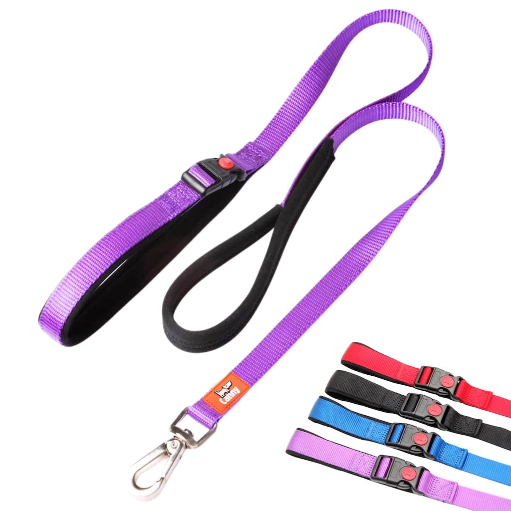 Lockable Leash