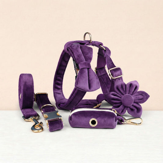 Pet Collars & Harnesses