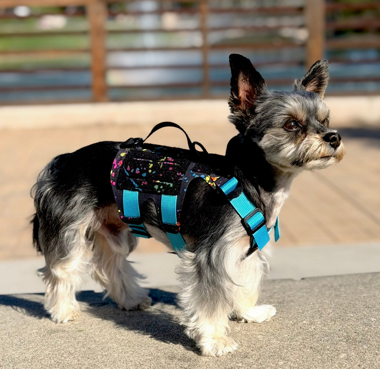 Light Vest