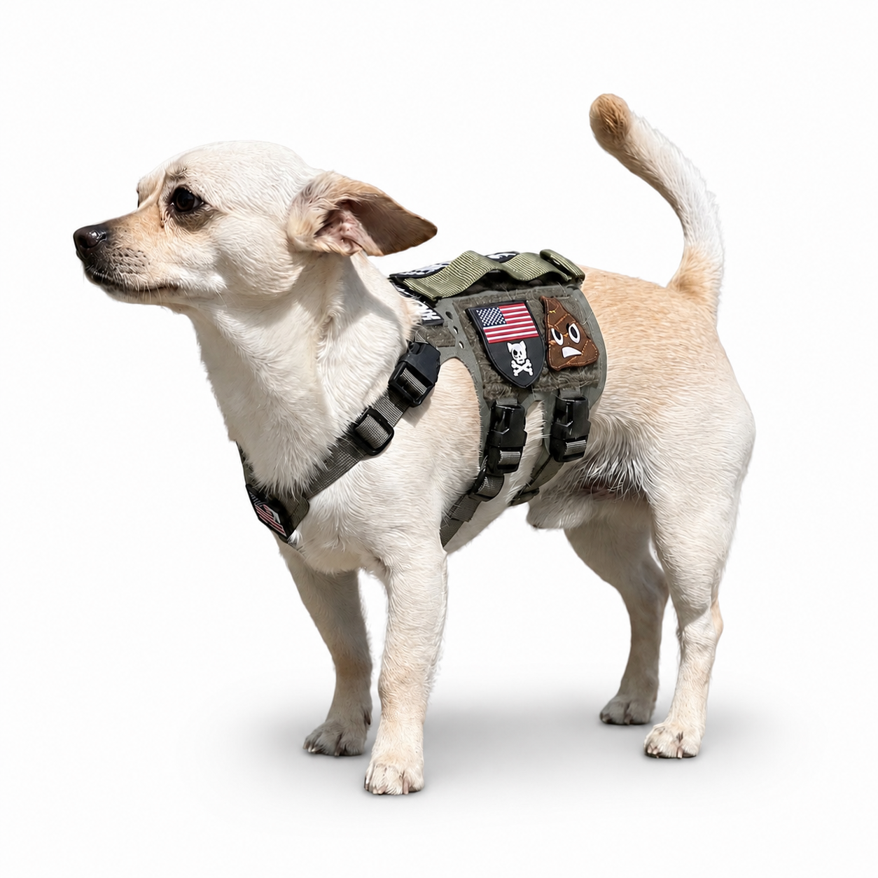 Light Vest