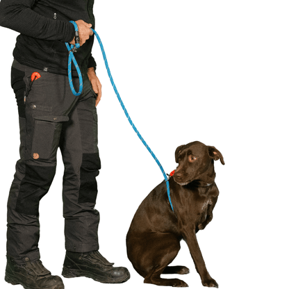 Rescue Pro Harness Leash