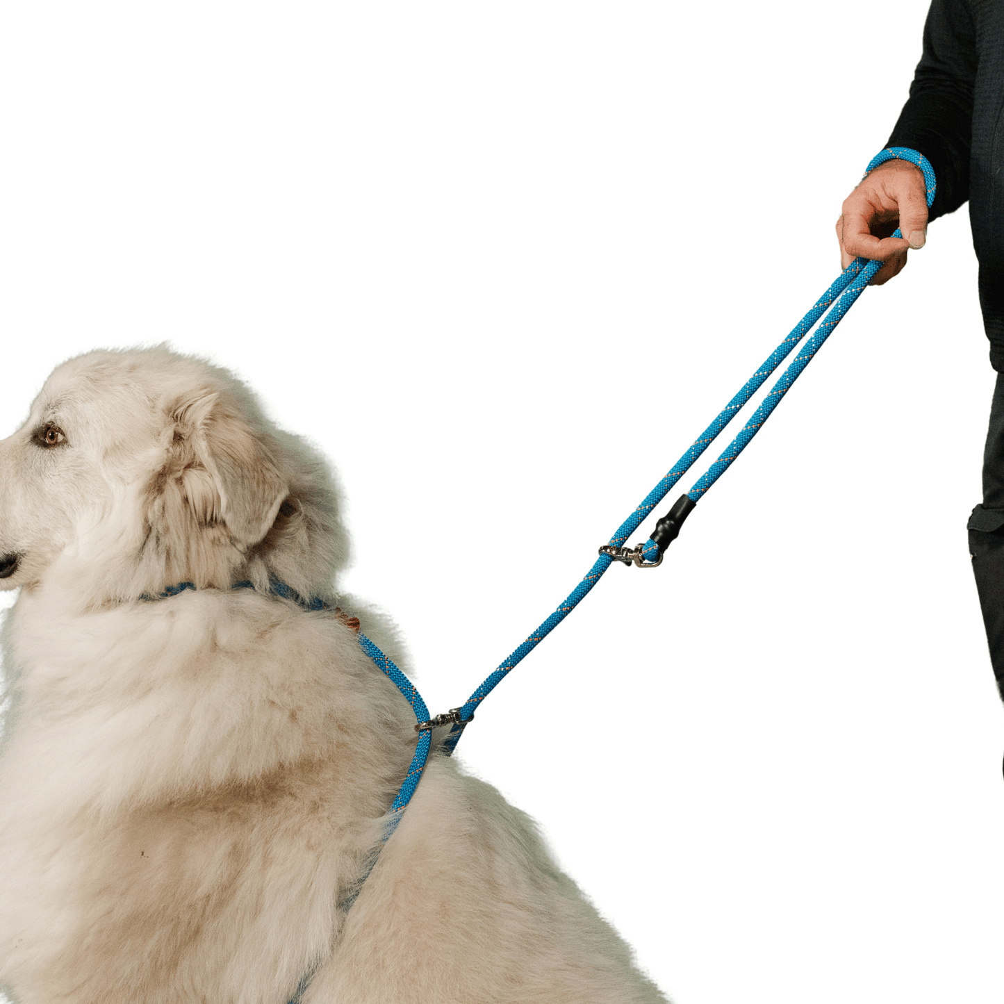 Rescue Pro Harness Leash
