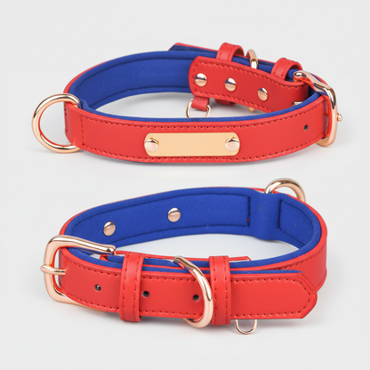 Dual D-Ring PU Leather Dog Collar with Nameplate