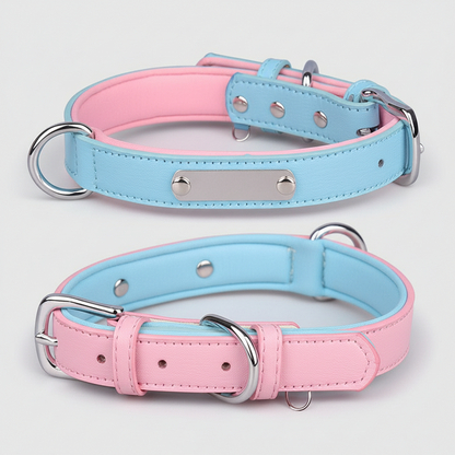 Dual D-Ring PU Leather Dog Collar with Nameplate