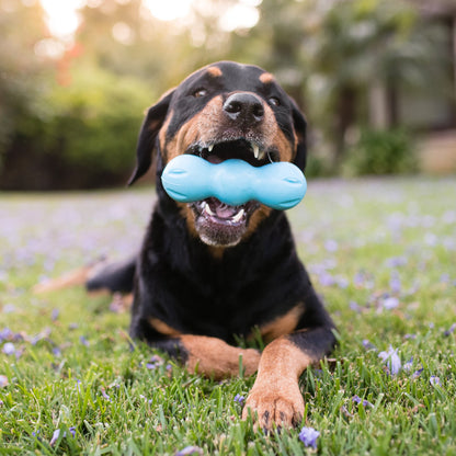 Pet Toys