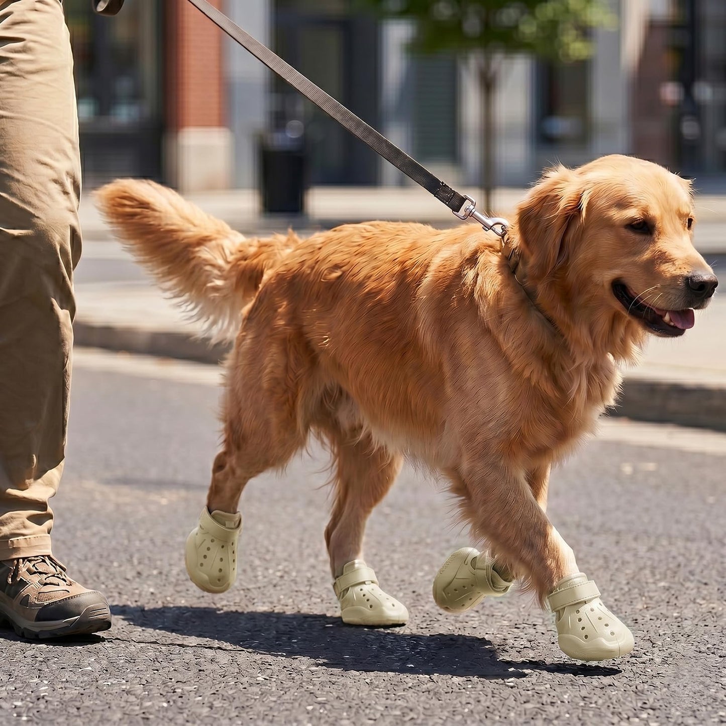 Dog Shoes For Dogs, Clogs Boots Booties Hot Pavement, Rain Waterproof Shoe Summer Sandals Puppy Breathable Doggie Doggy Light Water Up Sneaker