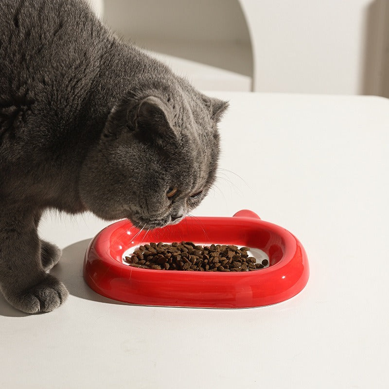 Feeder & Waterer