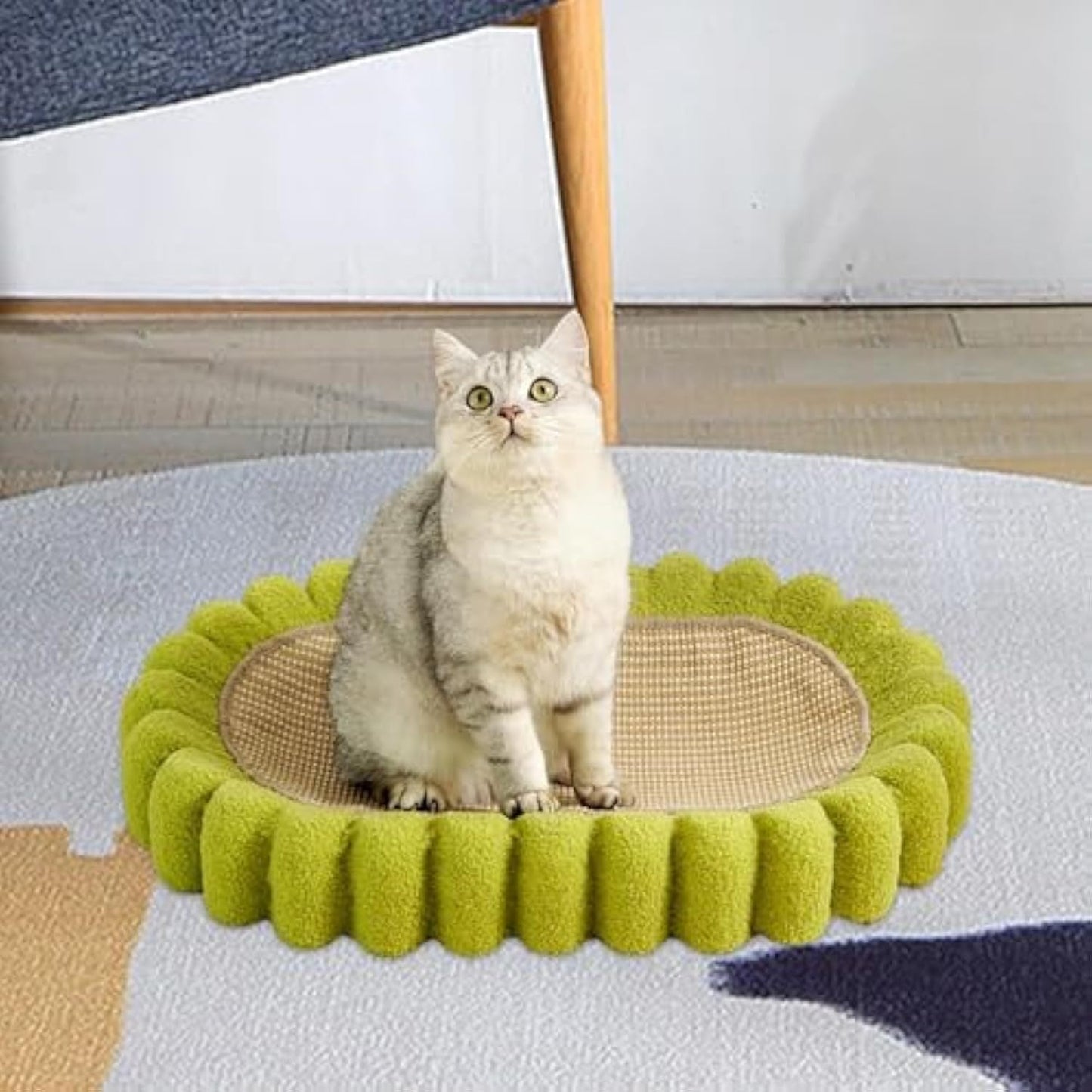 Cat Scratcher