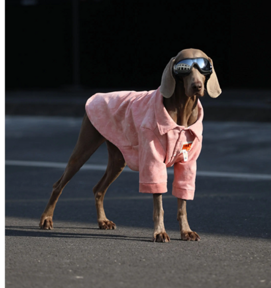 Animal Apparel
