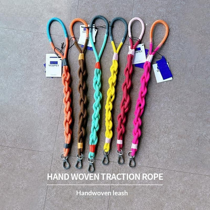 Leashes, Collars & harnesses