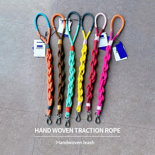 Leashes, Collars & harnesses