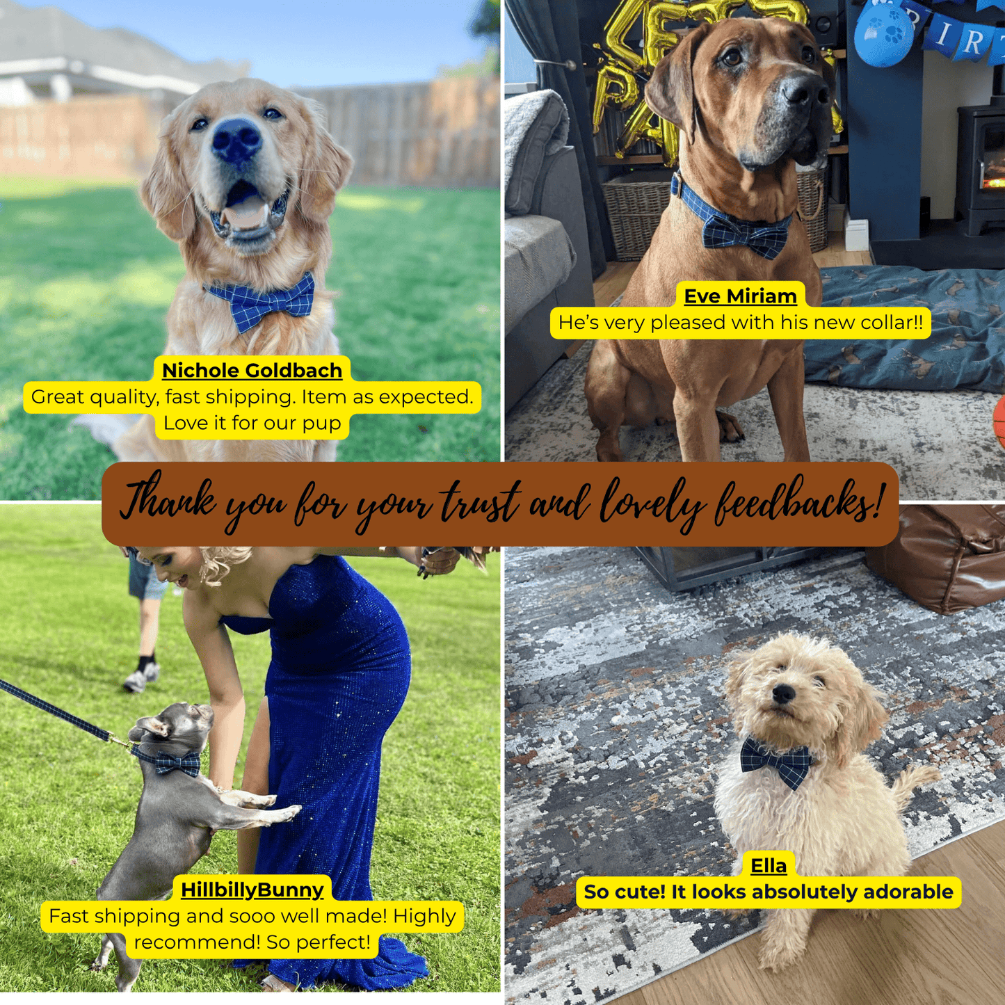 Pet Collars & Harnesses