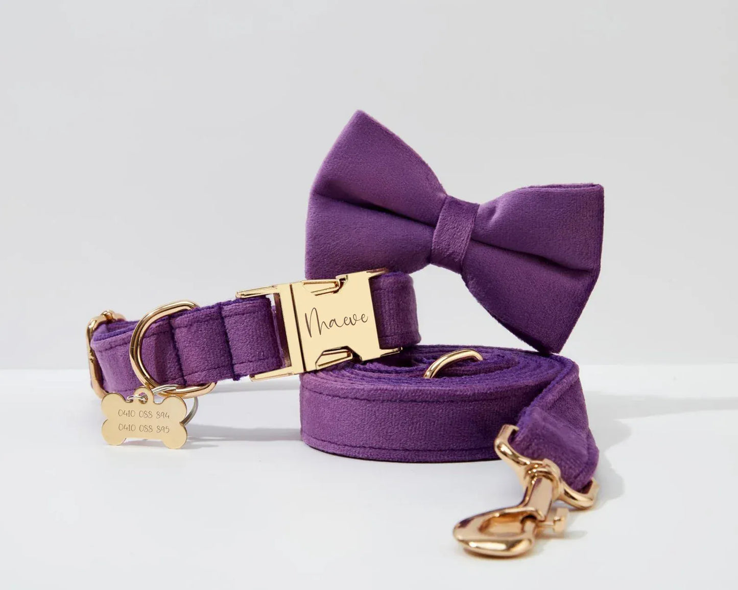 Pet Collars & Harnesses