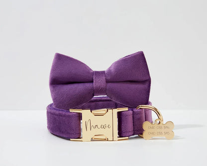 Pet Collars & Harnesses