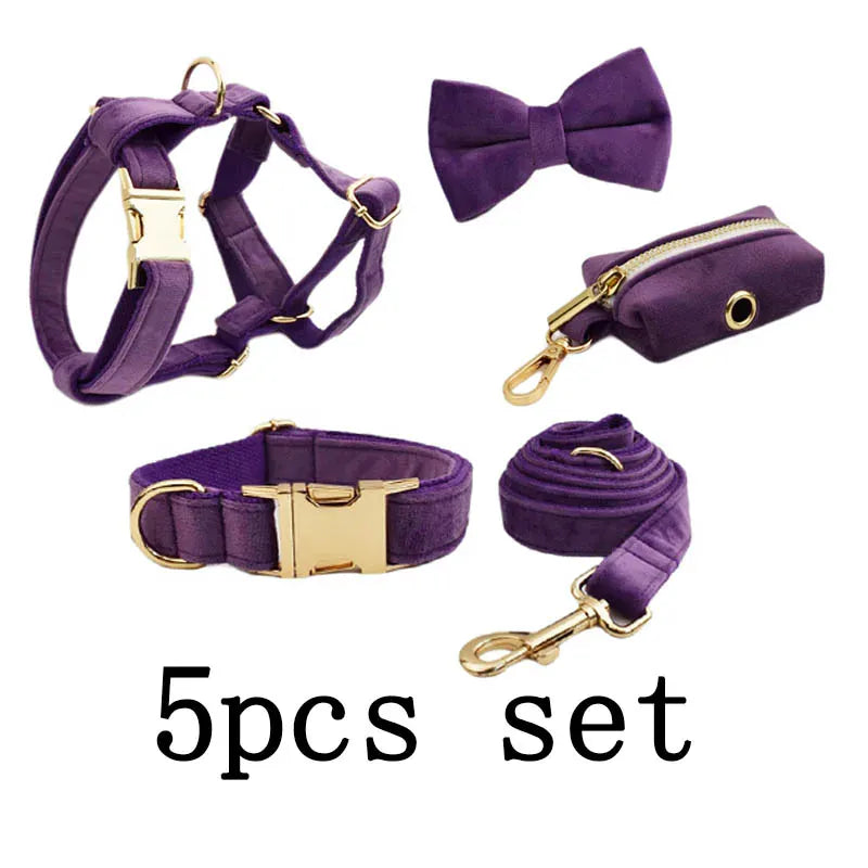 Pet Collars & Harnesses