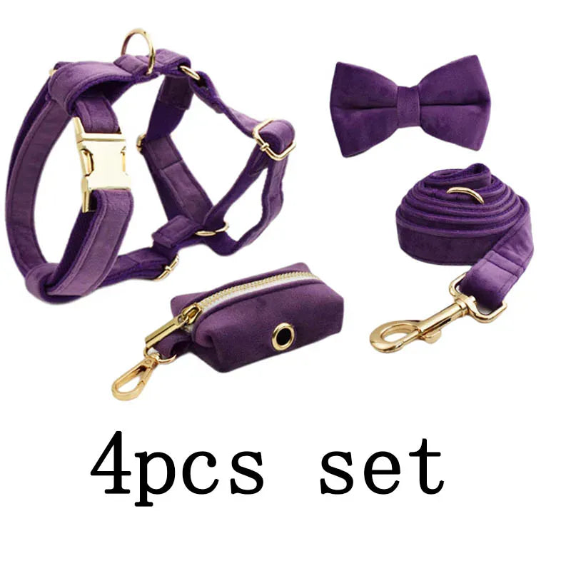 Pet Collars & Harnesses