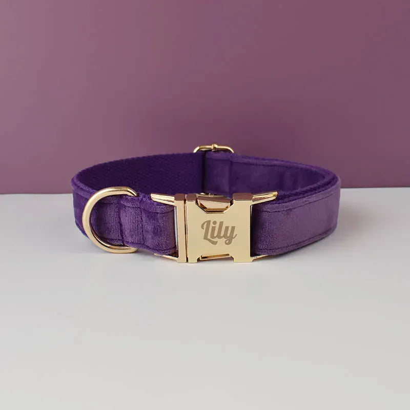 Pet Collars & Harnesses