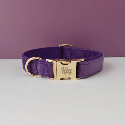Pet Collars & Harnesses