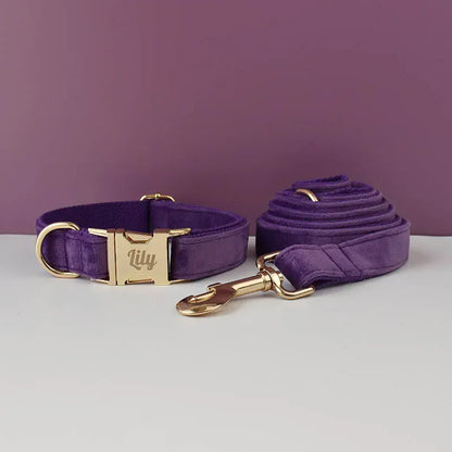 Pet Collars & Harnesses