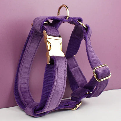 Pet Collars & Harnesses