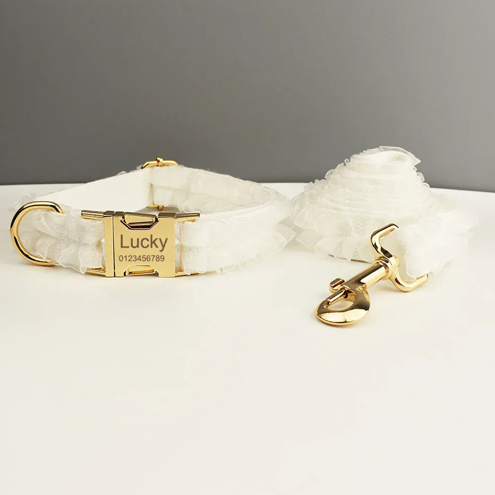 Pet Collars & Harnesses