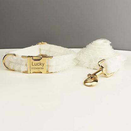 Pet Collars & Harnesses
