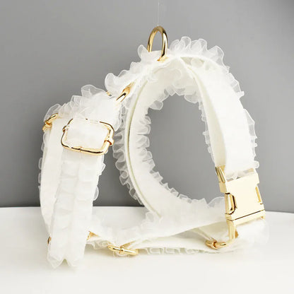 Pet Collars & Harnesses