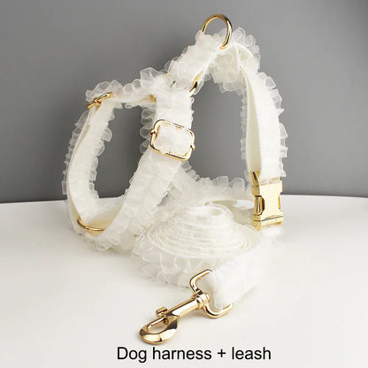 Pet Collars & Harnesses