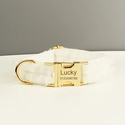 Pet Collars & Harnesses