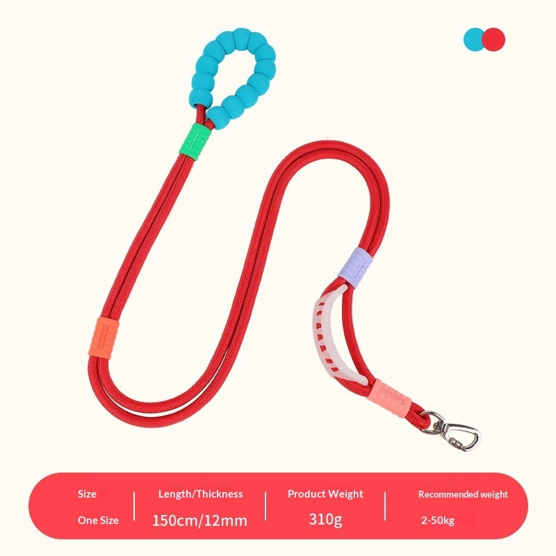Collars, Leashes, Harnesses