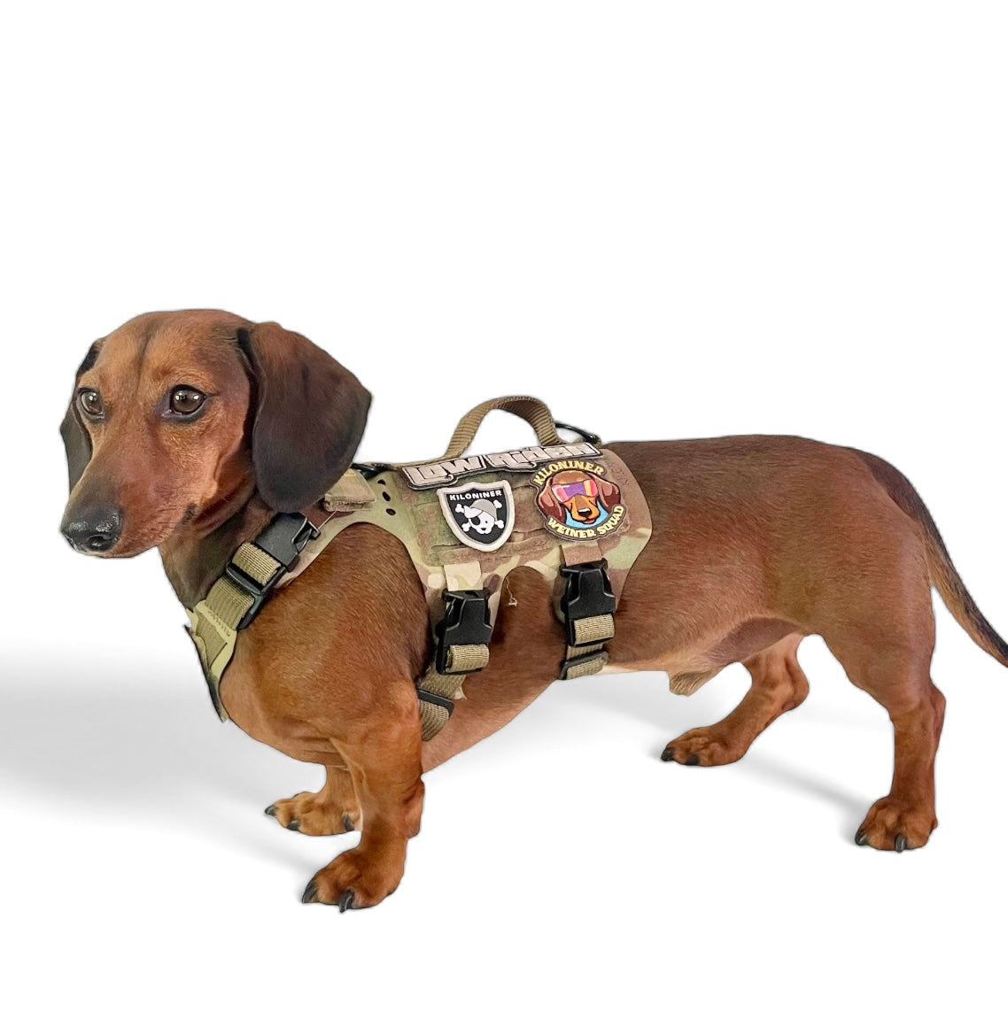 Light Vest
