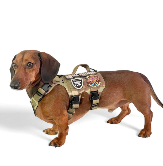 Light Vest