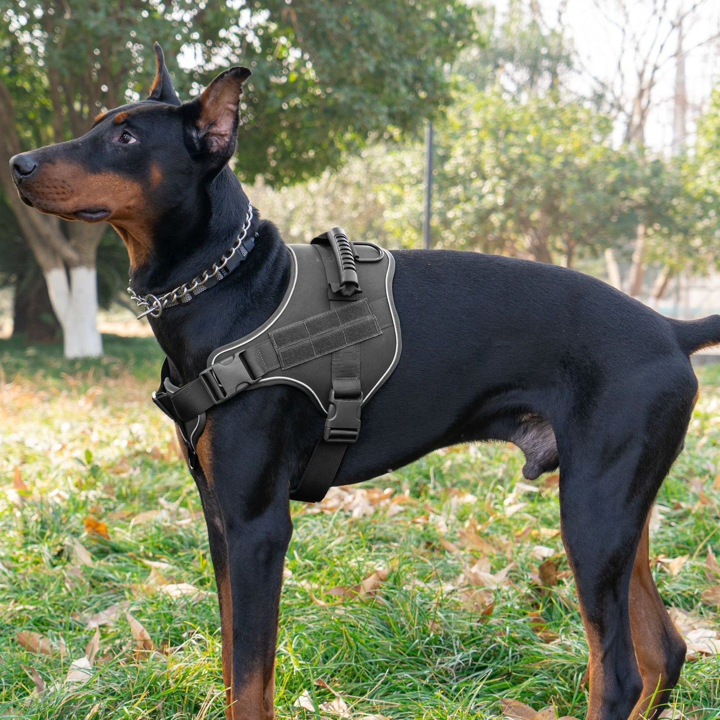 Traction Rope For Large Dogs Breathable Tactical Harness