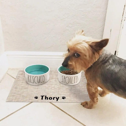 Pet Feeding Mat